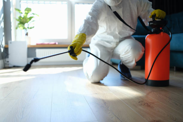Reliable Infectious Disease Decontamination contractor in Ideal, GA by Crime Scene Cleaner Online